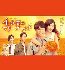 四分钟的金盏菊全集