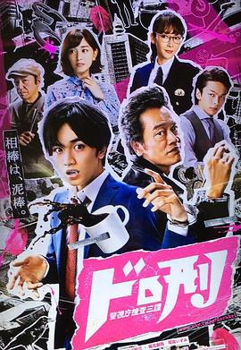 刑警与大盗全集