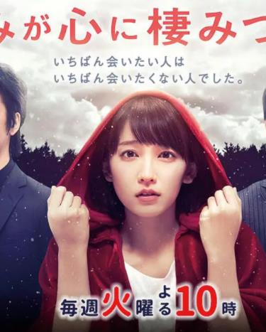 你已藏在我心底全集