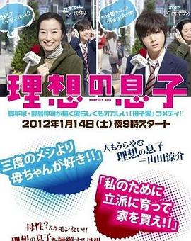 理想的儿子全集