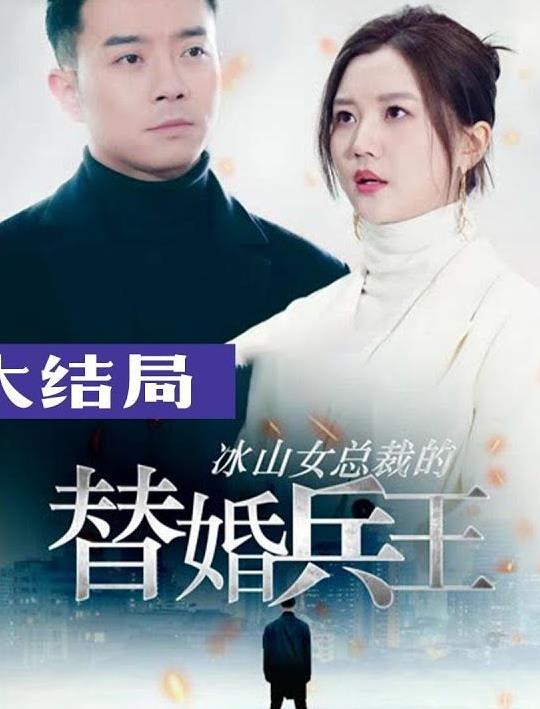 冰山总裁的替婚兵王全集