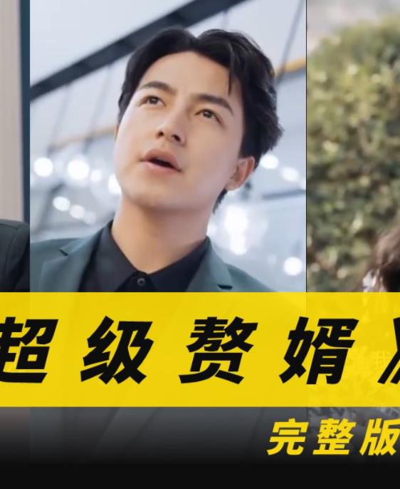 超级赘婿全集