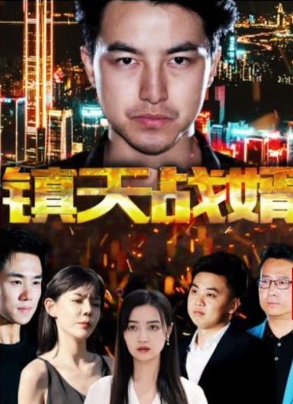 镇天战婿全集