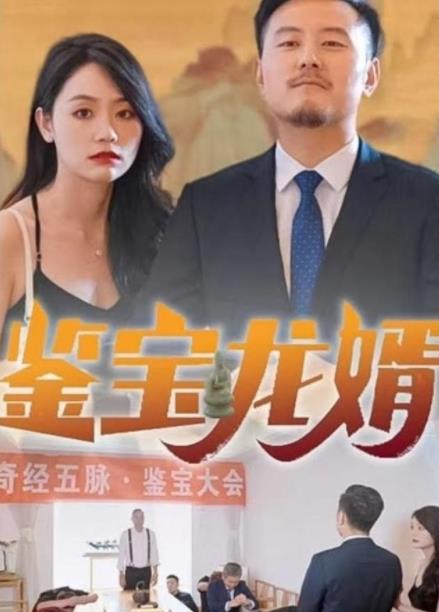 鉴宝龙婿全集