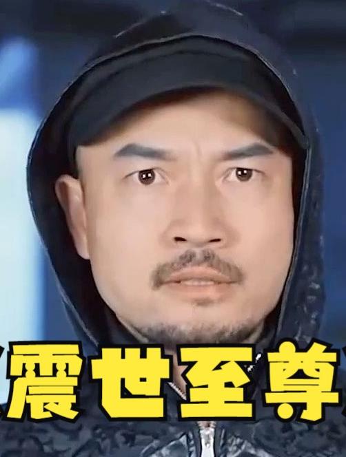 震世至尊全集