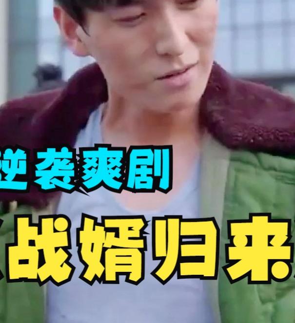 战婿归来全集