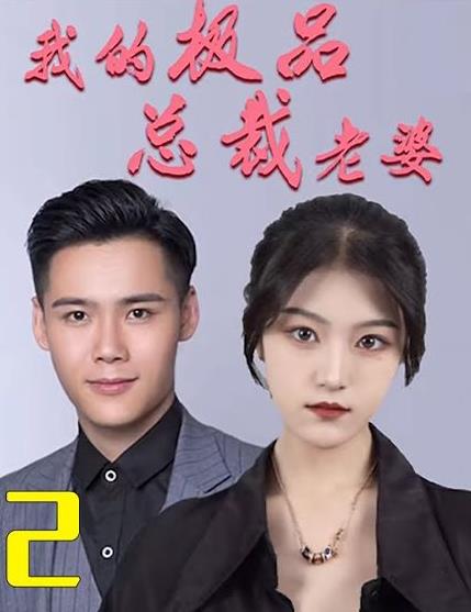 我的极品总裁老婆全集