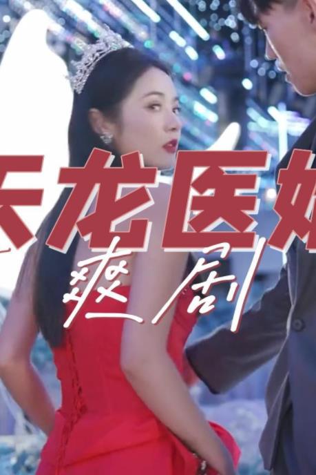天龙医婿全集