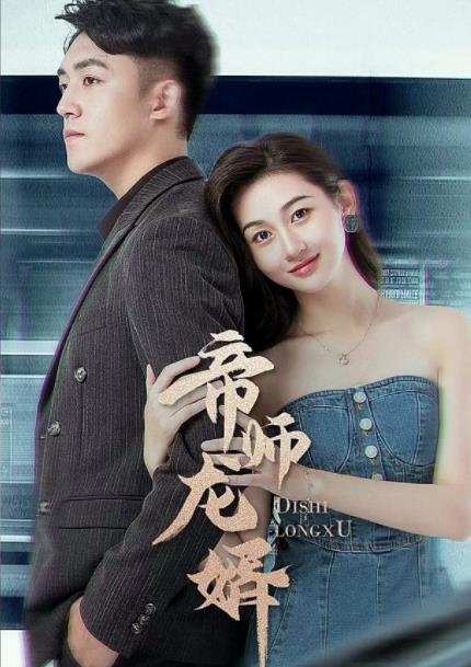 帝师龙婿全集