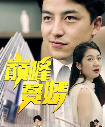 巅峰赘婿全集