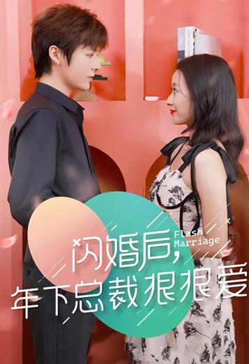 闪婚后年下总裁狠狠爱全集
