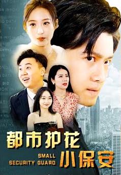 都市护花小保安全集