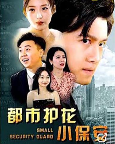 都市绝品医婿全集
