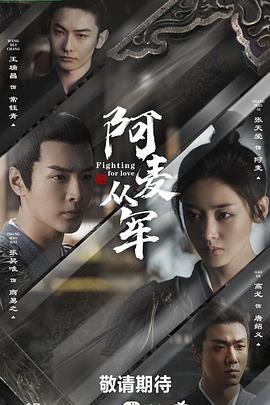 阿麦从军全集