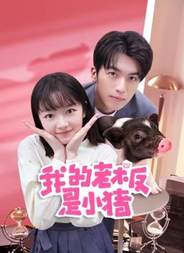 我的老板是小猪全集