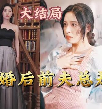 离婚后前夫总是想追我全集