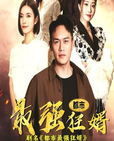 都市最强狂婿全集