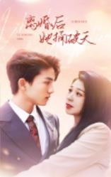离婚后她捅破天全集