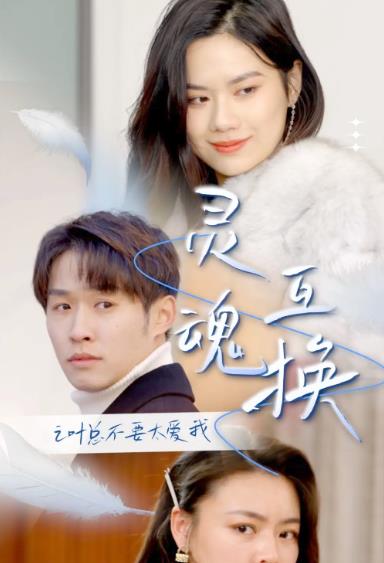 灵魂互换后之叶总不要太爱我全集