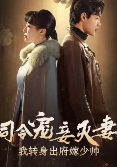 司令宠妾灭妻，我转身出府嫁少帅全集