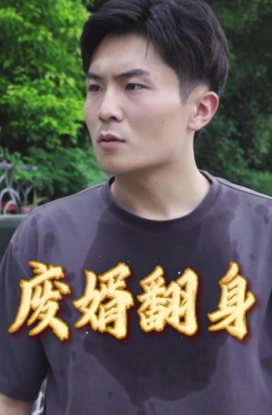 废婿翻身全集