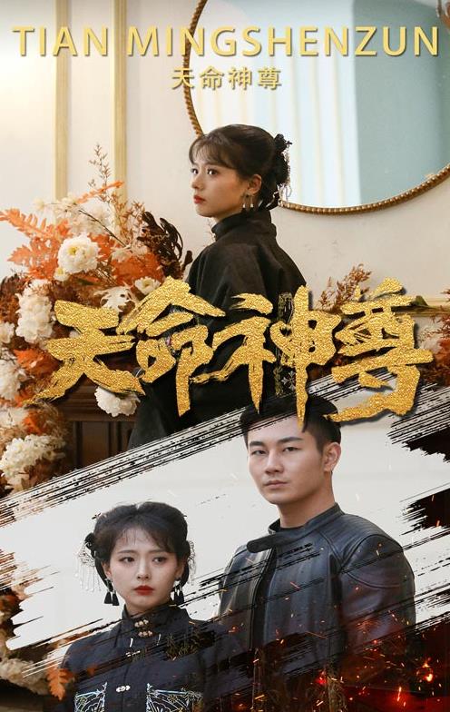 天命神尊全集