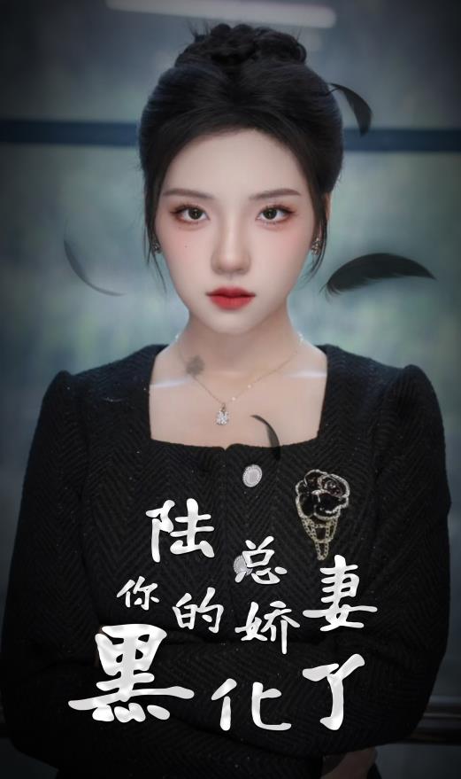 陆总，你的娇妻黑化了全集