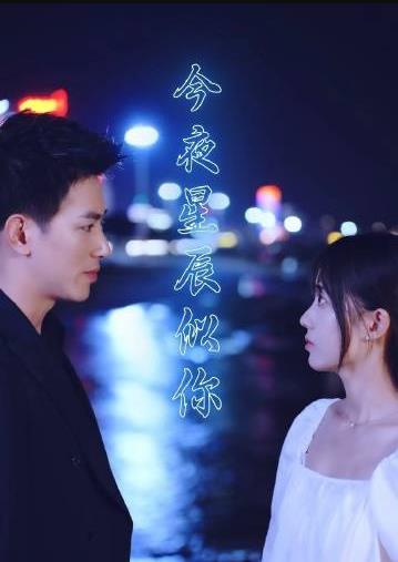 今夜星辰似你全集