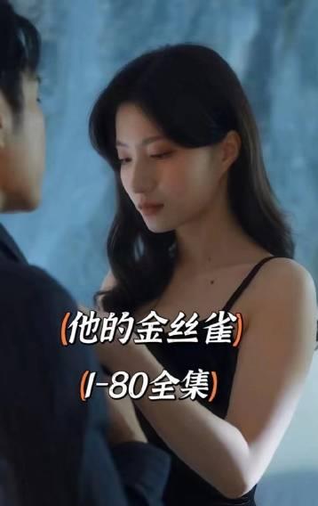 他的金丝雀全集