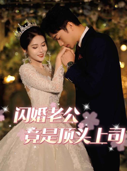 闪婚老公竟是顶头上司全集