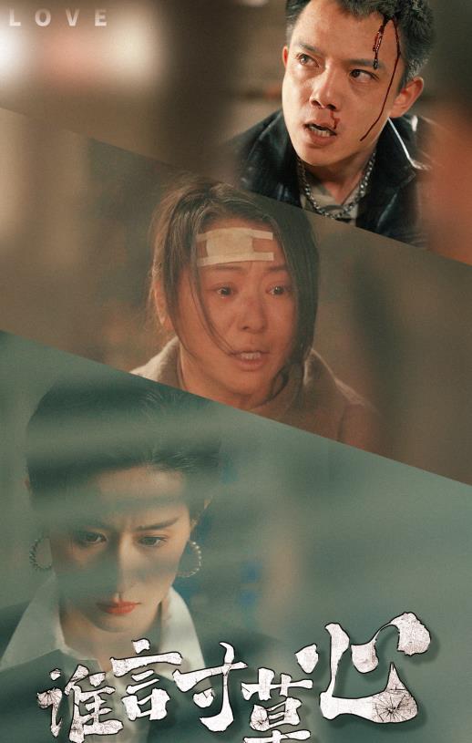 谁言寸草心全集