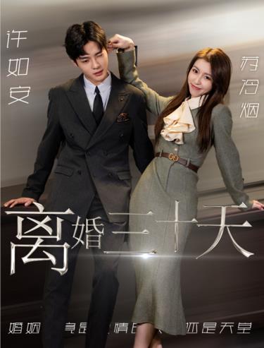 离婚三十天全集