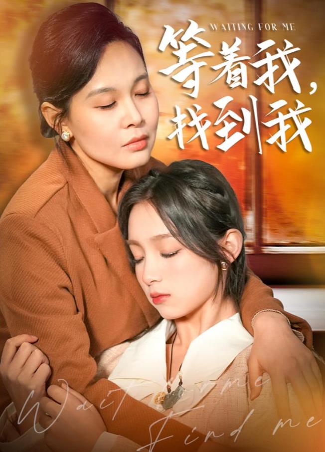 等着我，找到我全集