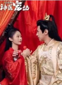 皇帝的神医宠妃全集