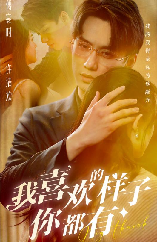 我喜欢的样子你都有全集