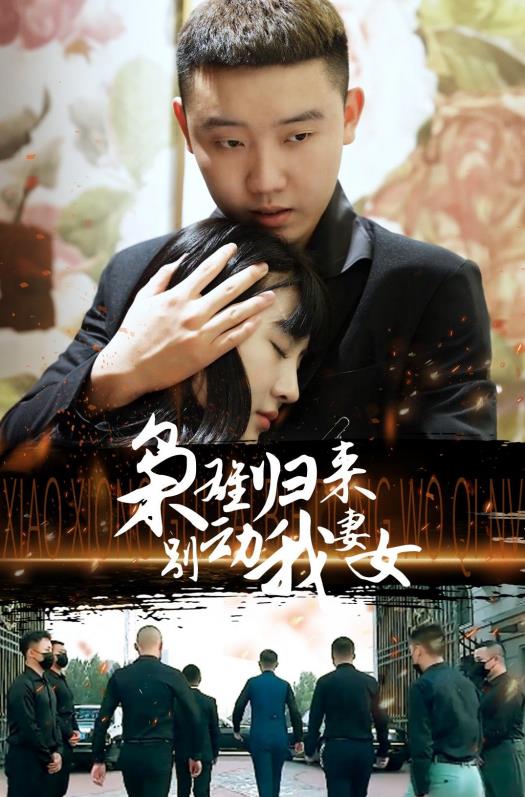 枭雄归来别动我妻女全集