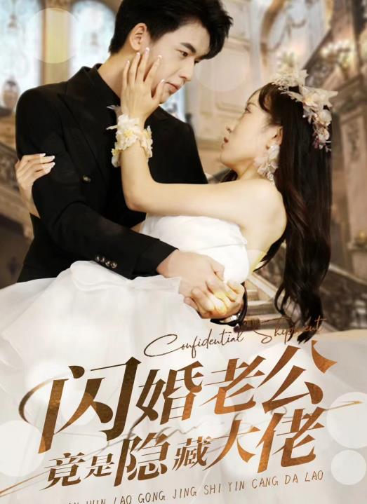 闪婚老公竟是隐藏大佬全集