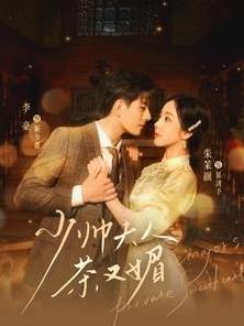 少帅夫人茶又媚全集