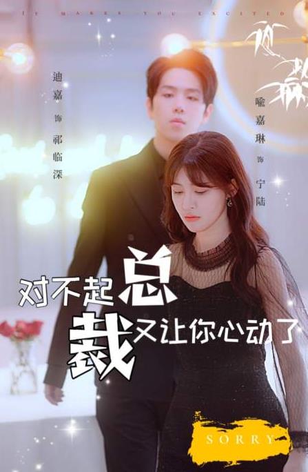 对不起总裁又让你心动了全集