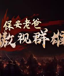 保安老爸傲视群雄全集