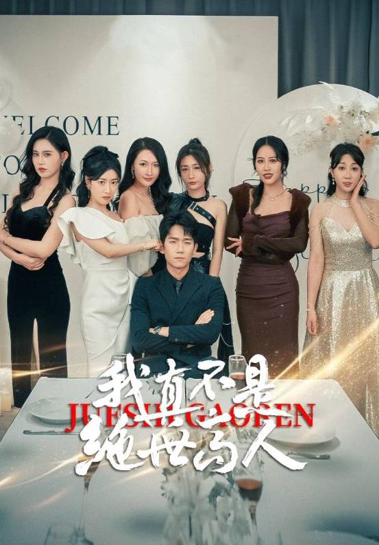 我真不是绝世高人全集