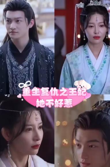 重生复仇之王妃她不好惹全集