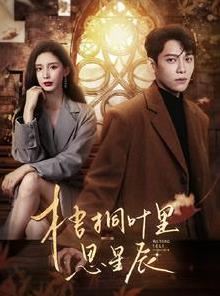 梧桐叶里思星辰全集