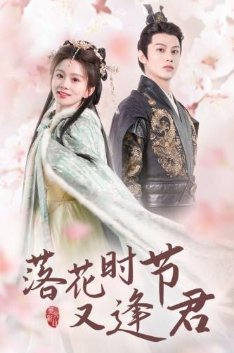 落花时节又逢君全集