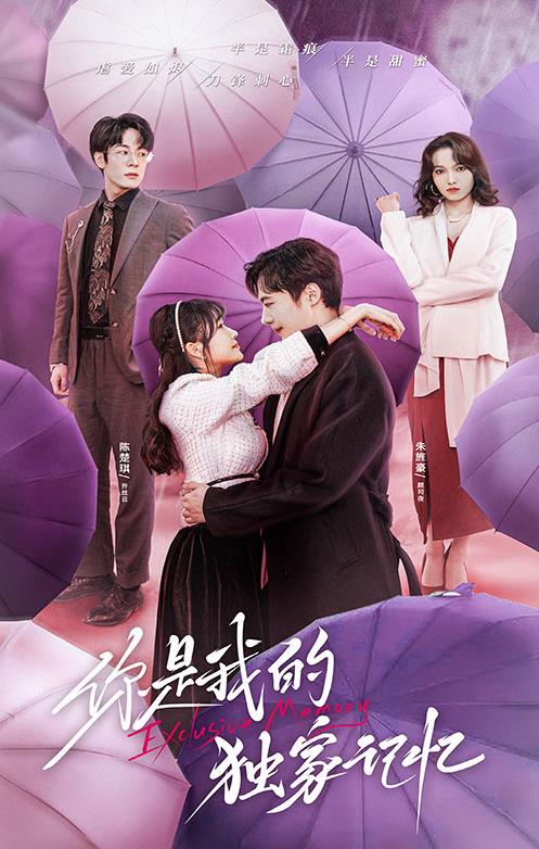 你是我的独家记忆全集