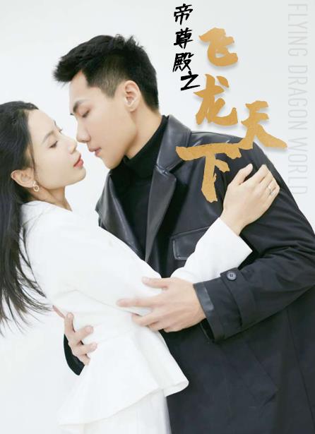 帝尊殿之飞龙天下全集