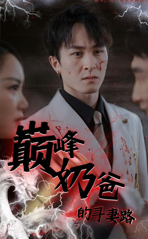 巅峰奶爸的寻妻路全集