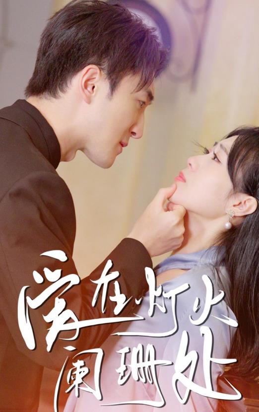 爱在灯火阑珊处全集