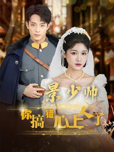 景少帅你搞错心上人了全集