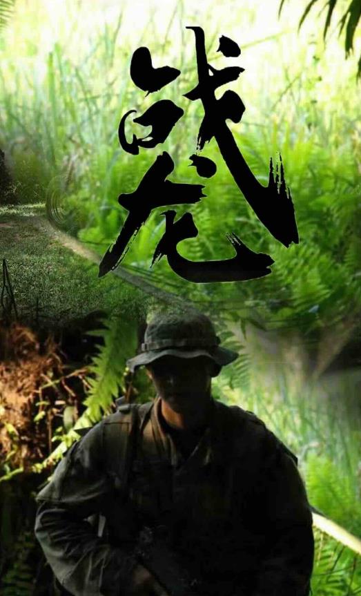 战龙全集